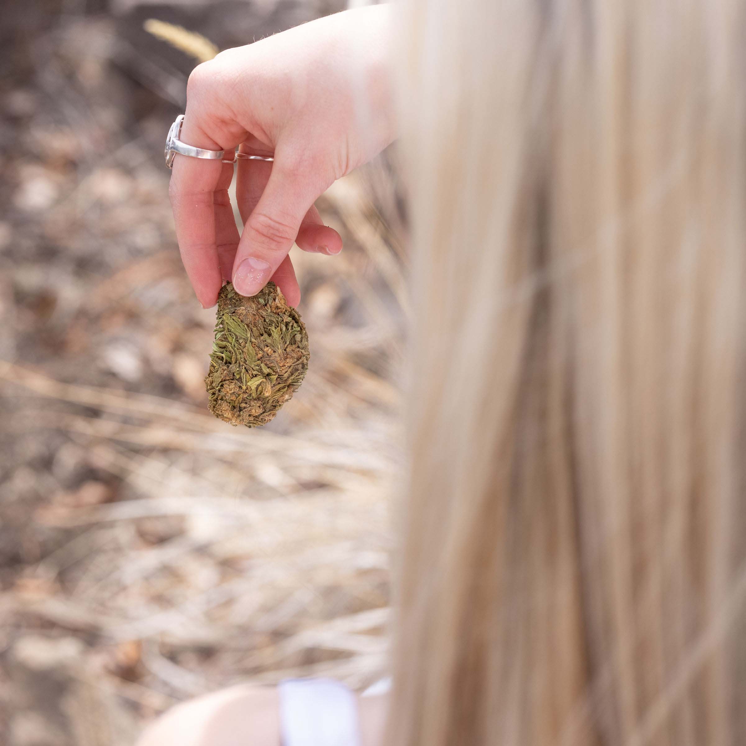 Blond woman holding a large CBD flower nug while sitting outside.